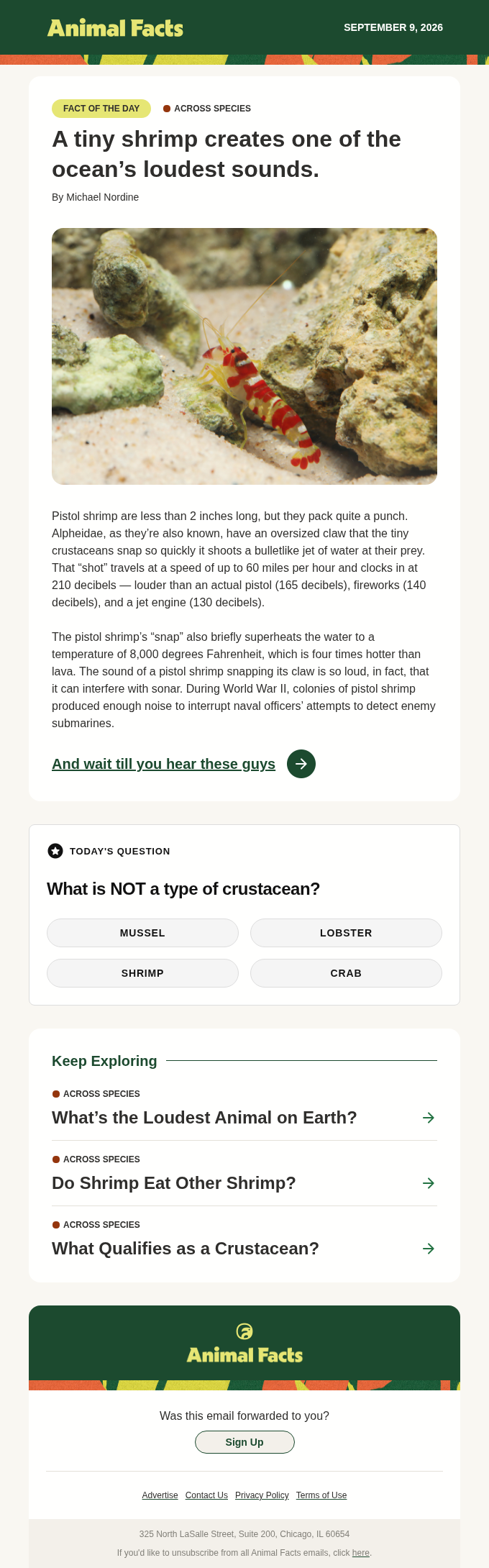 Animal Facts email snapshot