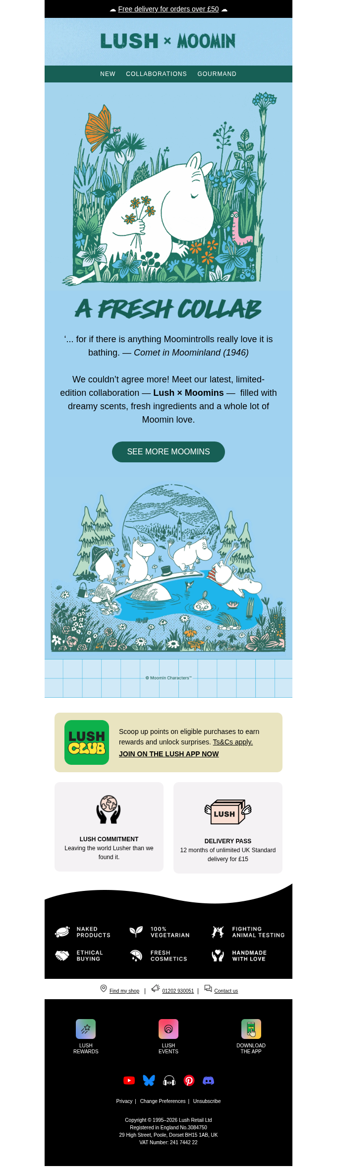 Lush email snapshot