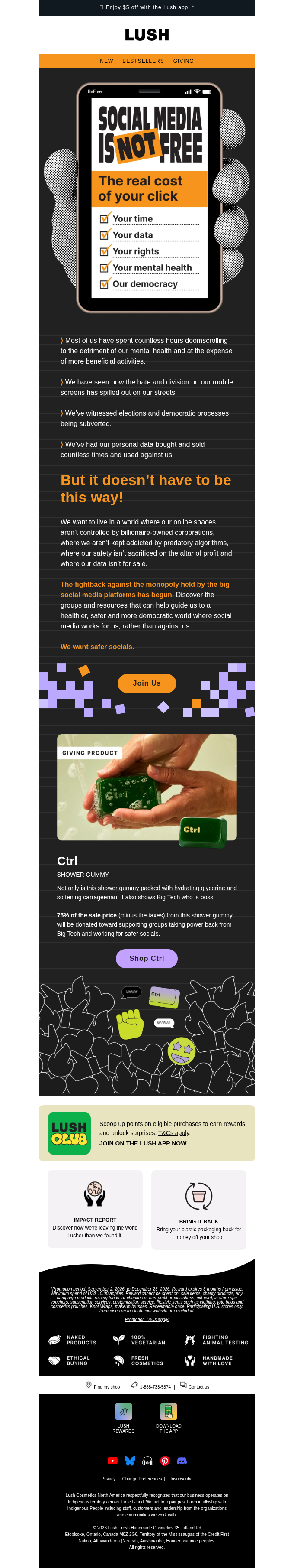 Lush email snapshot